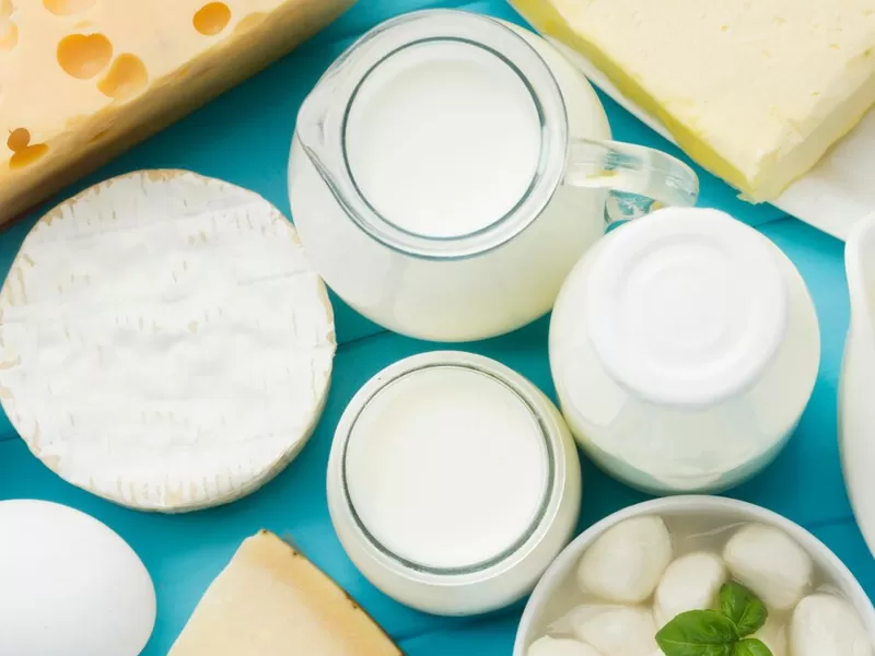 Natural Preservation Solutions for Cheese & Yogurt