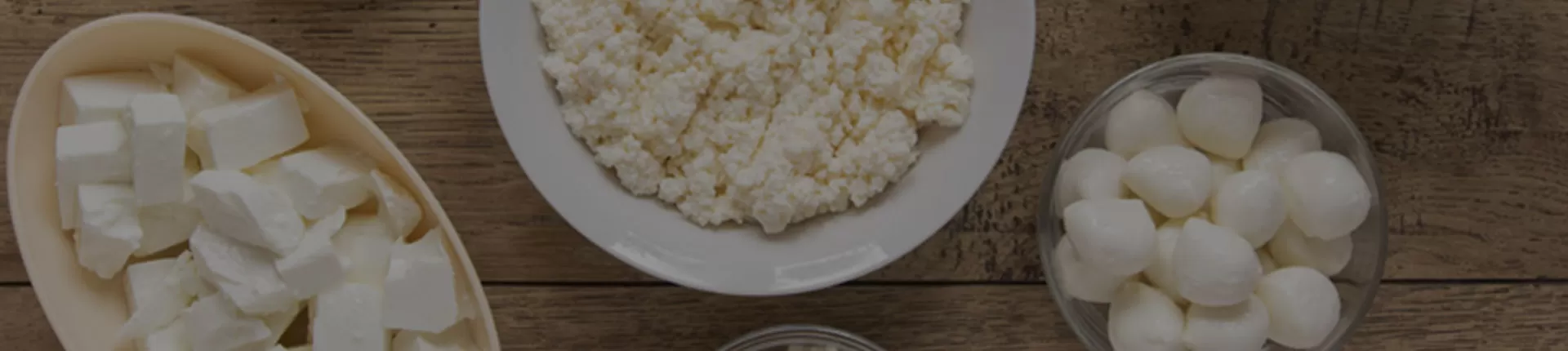 Cheese and Yogurt